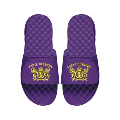 L.A. Vibes Slides
